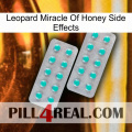 Leopard Miracle Of Honey Side Effects 29